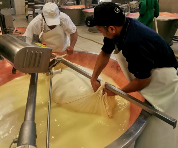 Parmigiano Factory tour - Cheesemaker